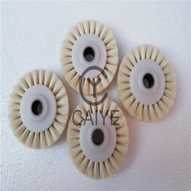 5Pieces 60x10x16mm Brush Wheel - đánh giá và giá Commercial Offset Printing