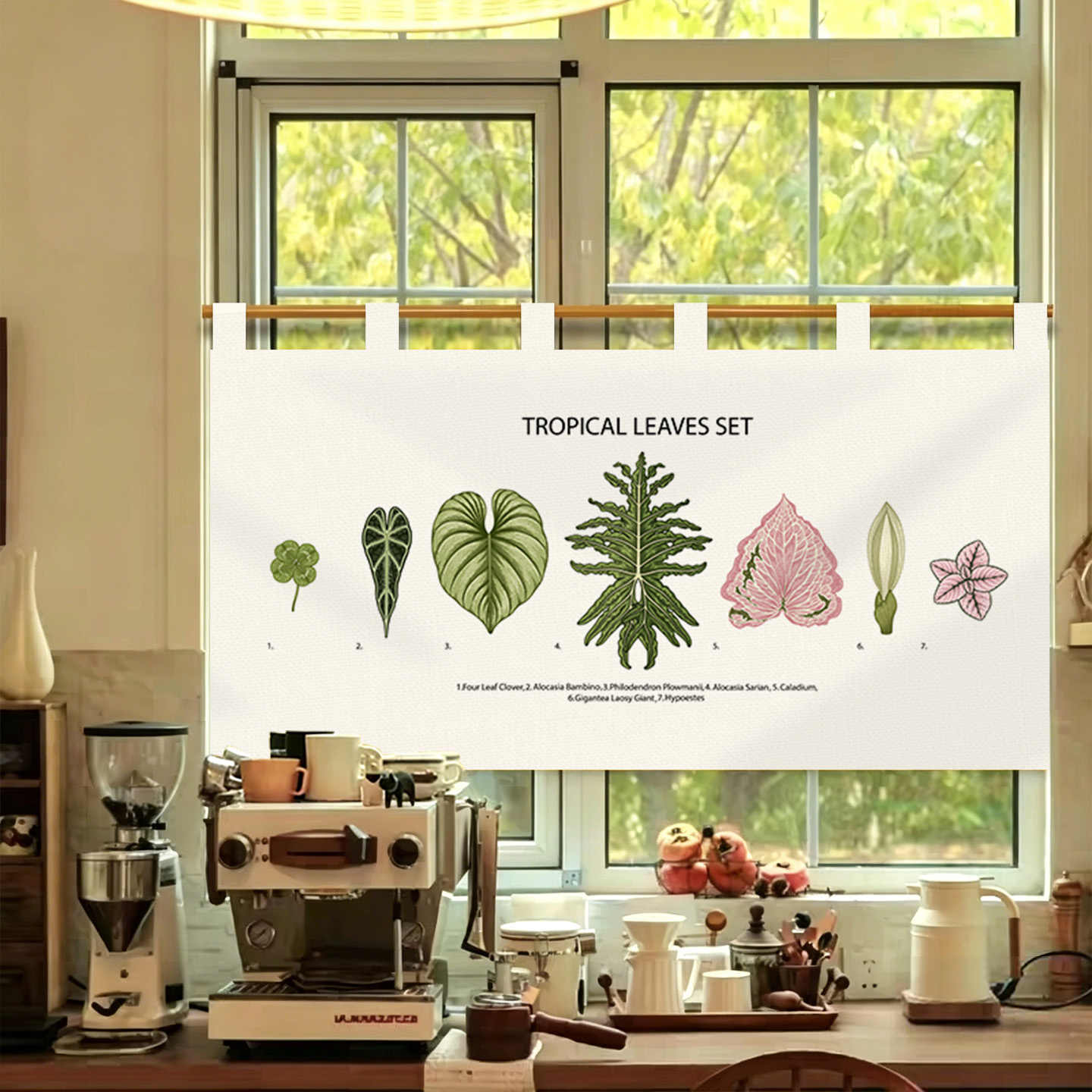 VIKAMA Vintage Hand Drawn Nore - đánh giá và giá Commercial Printing Rates